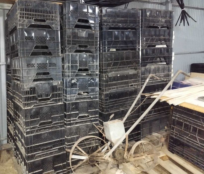 Caixas de plástico usadas64584684129794121