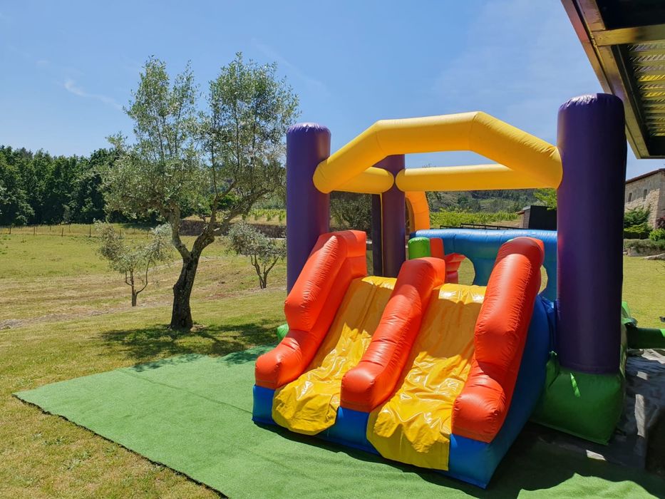 Insuflavel profissional novo