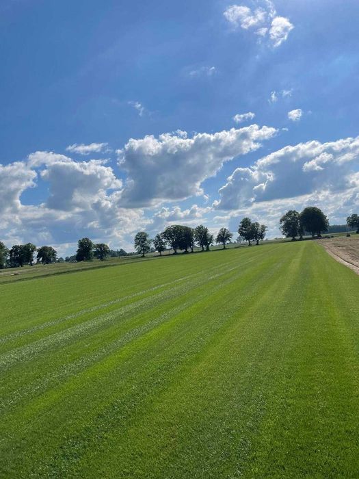 Trawa Z Rolki / PRODUCENT / Transport