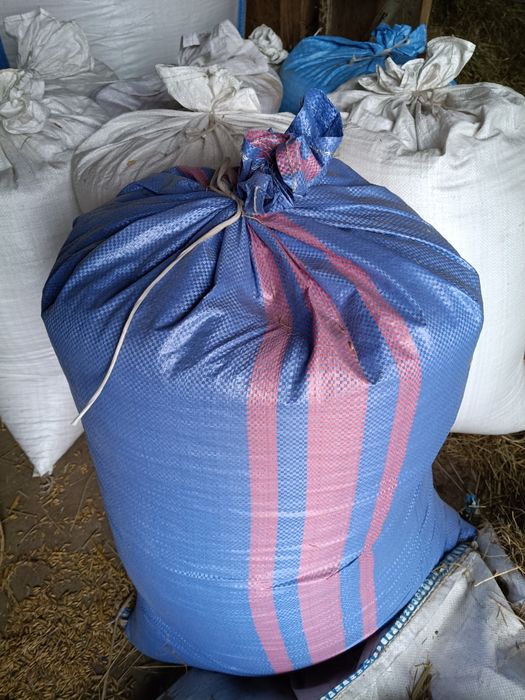 Owies  karma dla zwierząt , lub  na nasienie