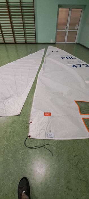 Zagle regatowa do Omegii - Vector Sails 2022 r