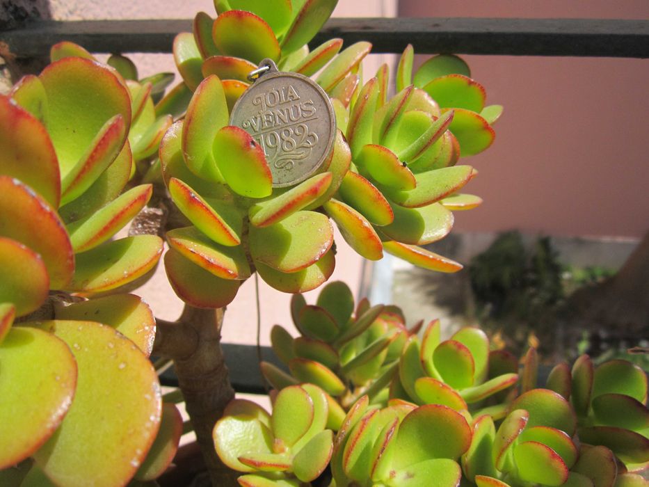 Medalhão / Pingente Vénus 1982