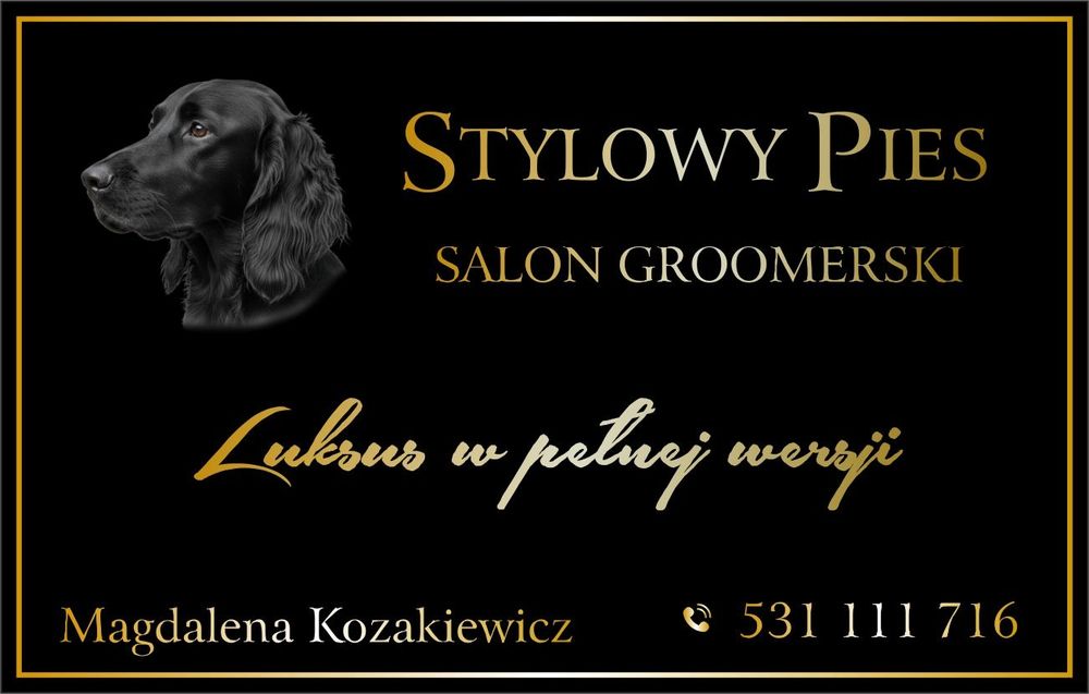 STYLOWY PIES Psi Salon Olecko