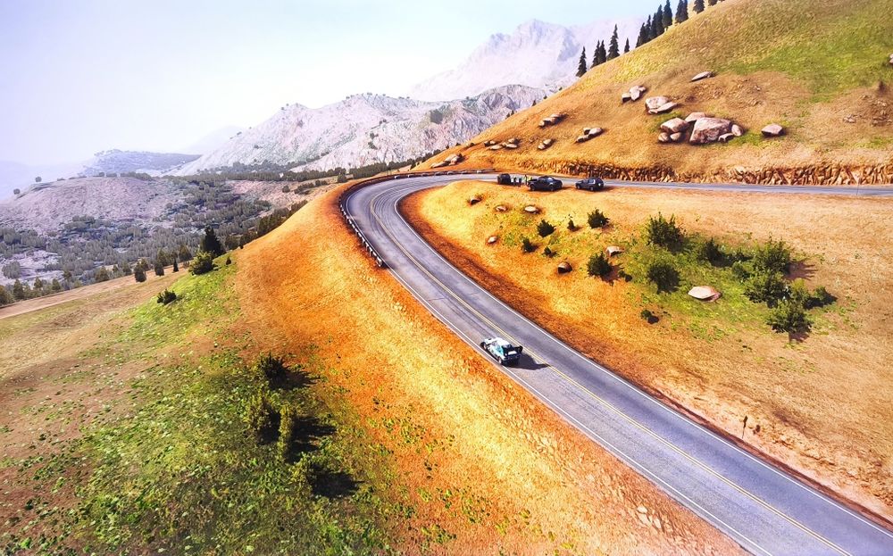 Гра Dirt Rally PS 4