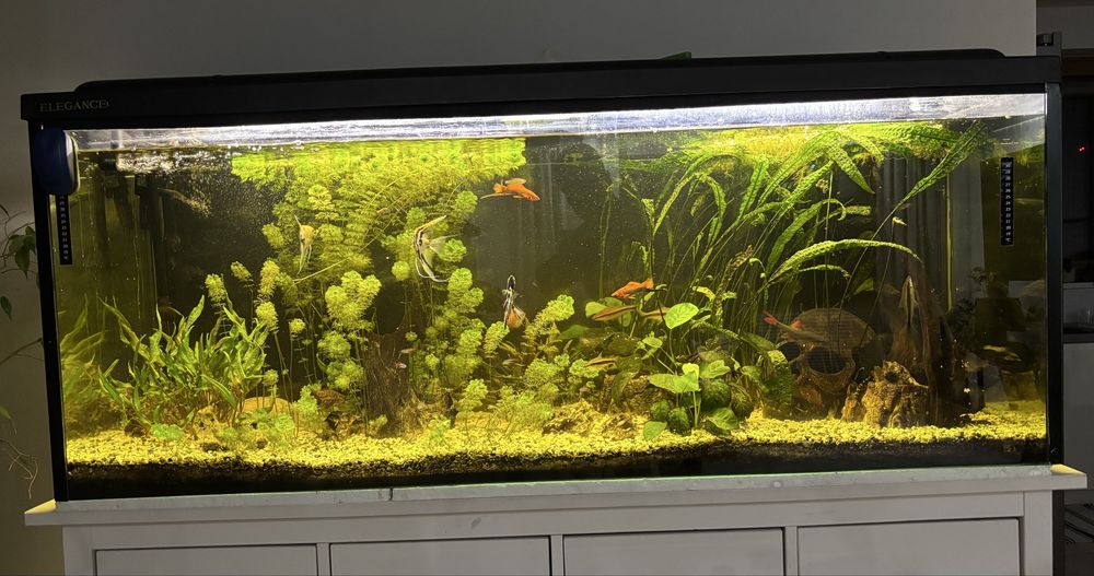 Akwarium 450 l komplet rybki wyposarzenie