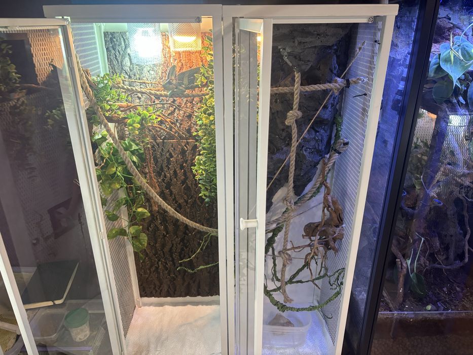 Terrarium dla kameleona, gekona, gadów