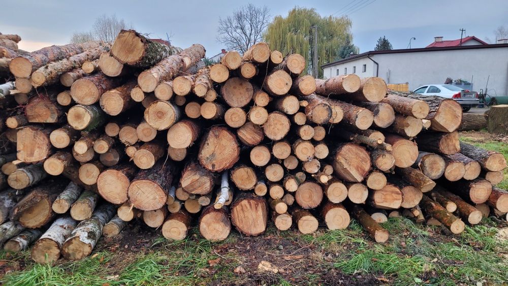 Drewno opałowe wałki Dąb Brzoza Klon Jabłoń Jesion Osika Sosna Wałki 1 metr transport wywrotka do 6 mp lub wałki 2.5 metra długości 25 mp lub 50 mp 
S