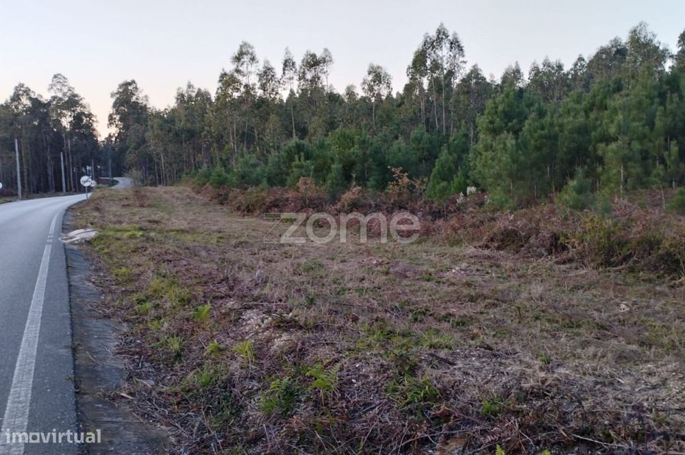 Terreno Rústico à Venda – Vila Nova de Anços 4.100m2