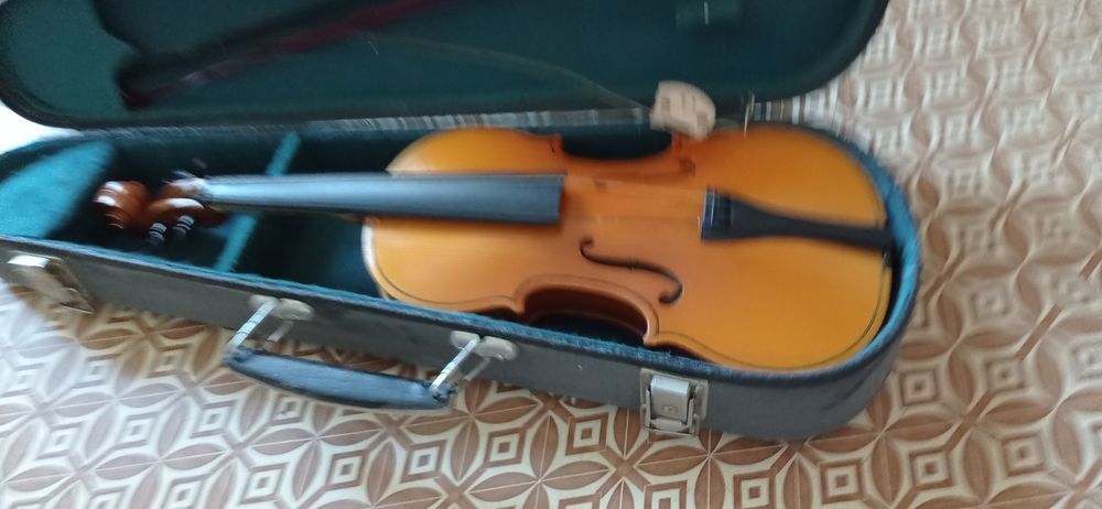 Скрипка у футлярі