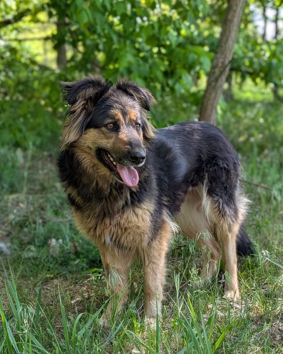 Puchata Agnes marzy o nowym domu!