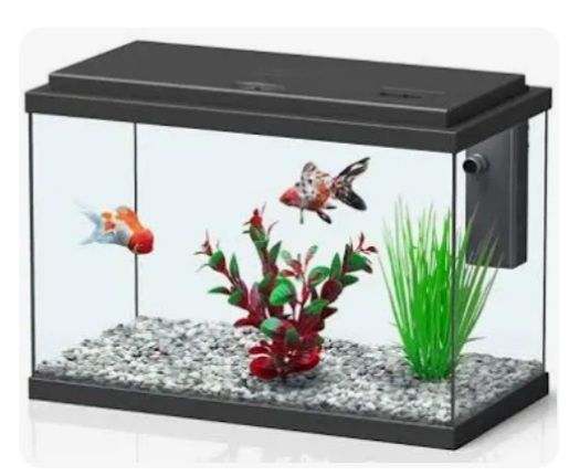 Aquarios para peixes