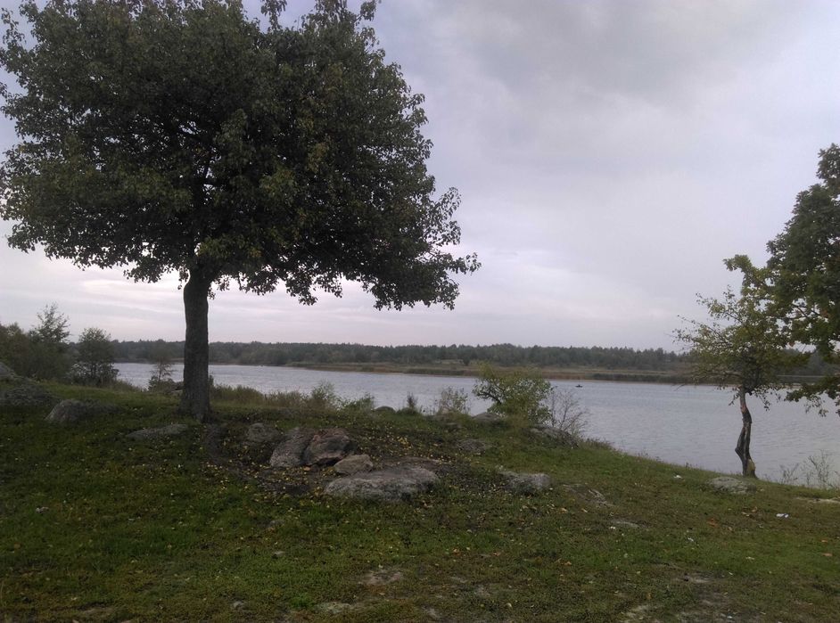 Корчак ділянка 6 Га, з виходом до річки