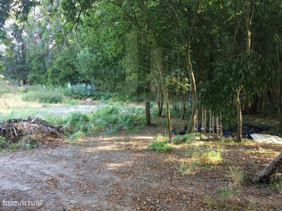 Terreno para Construção