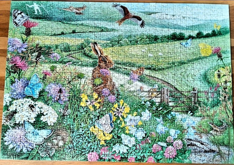 Puzzle 1000 Ravensburger