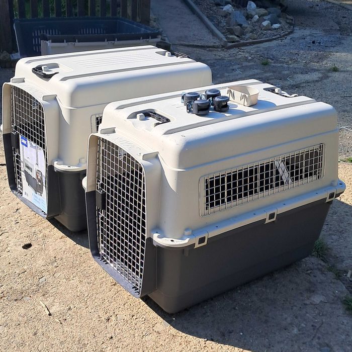 Nowe Transportery Savic rozm 7