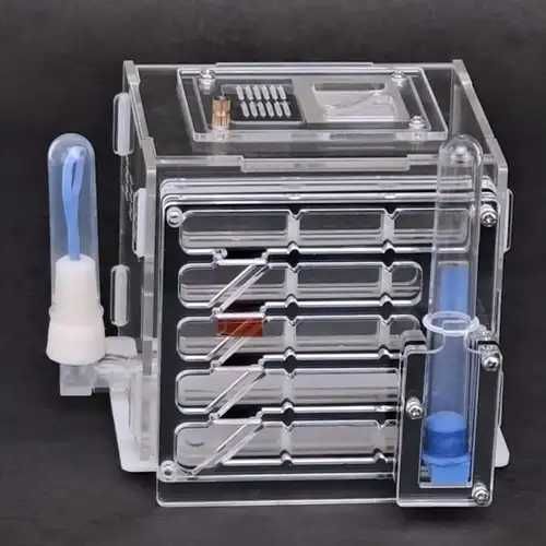 Formicario Ant Farm Formicarium formigas estimação com bebedouros NOVO