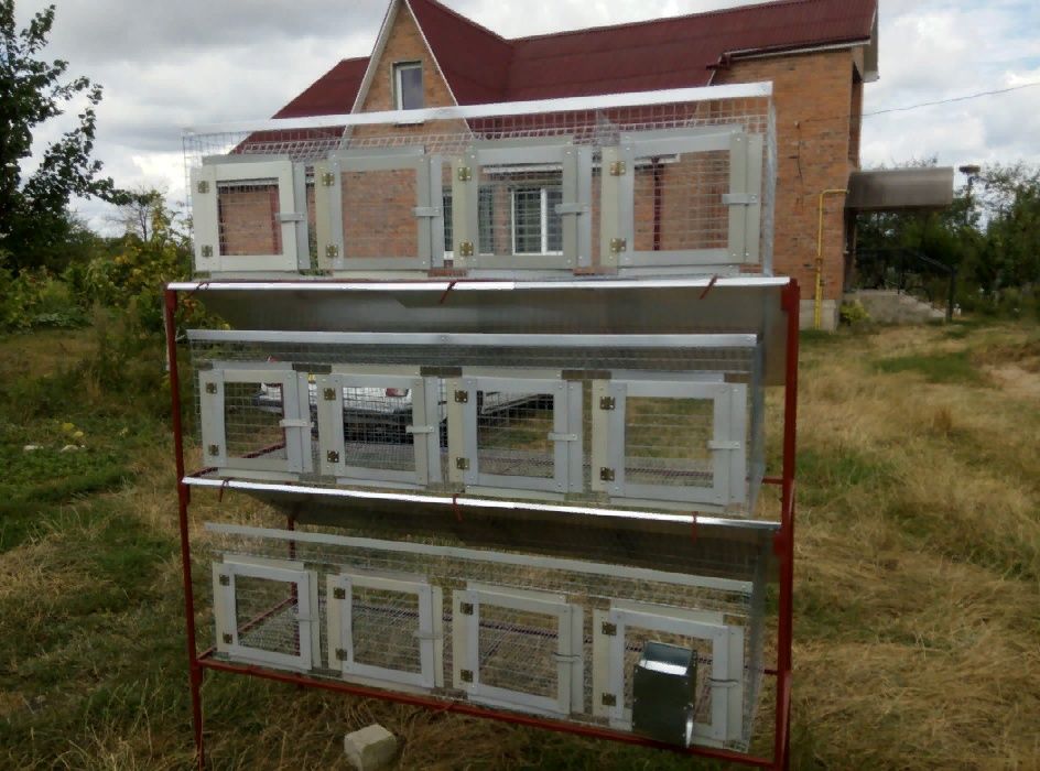 Клітки для кролів