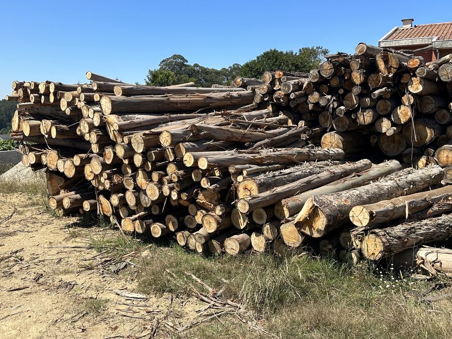 Limpezas gerais {terrenos,jardins é muito mais} venda de lenha