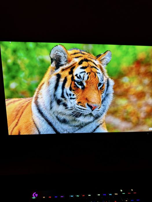 Dell UltraSharp U2723QE 27 cali 4K IPS Black USB C idealny stan