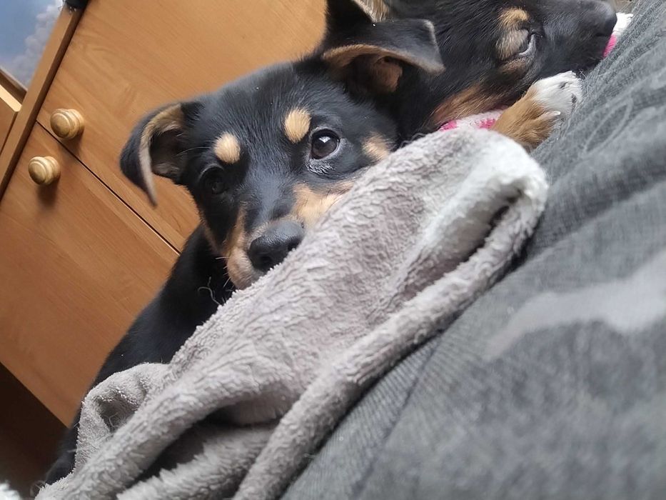 Adi - sunia jak z bajki