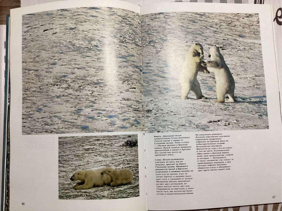 Книга Живой мир полярных районов