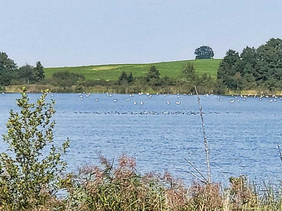 Piękny Widok na Jezioro ze Wzgórza | Działka Budowlana z Panoramą 180° ! Sprzedam szybko.