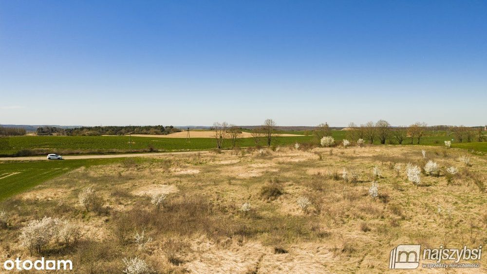 Niesułów-Działka Rolna 6,39 Ha Klasa III
