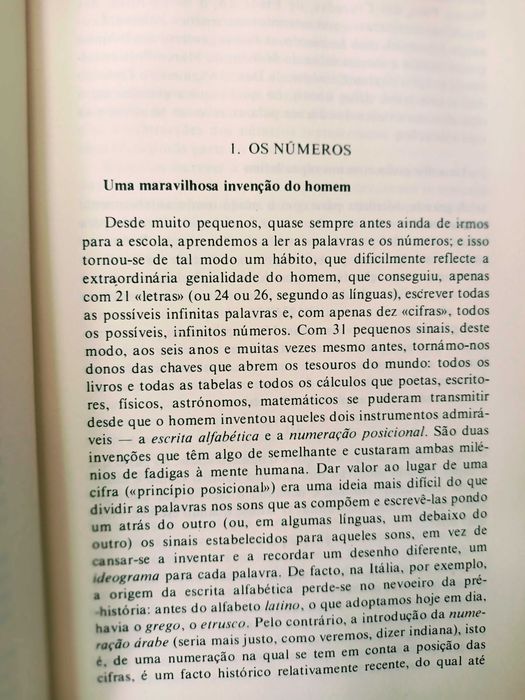 A MATEMÁTICA DE PITÁGORAS A NEWTON de Lucio Lombardo Radice - Pag. 115
