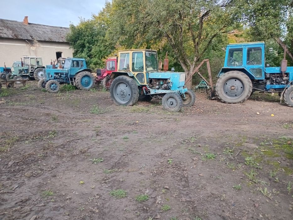 Трактор   ЮМЗ 6АКЛ