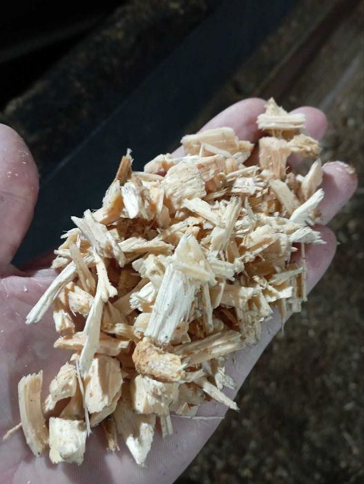 Продаємо тріску (щепу) паливну