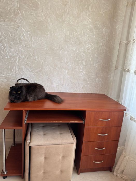 Столик письмовий, гарний стан та приємна ціна