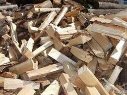 Дрова соснові та дубові