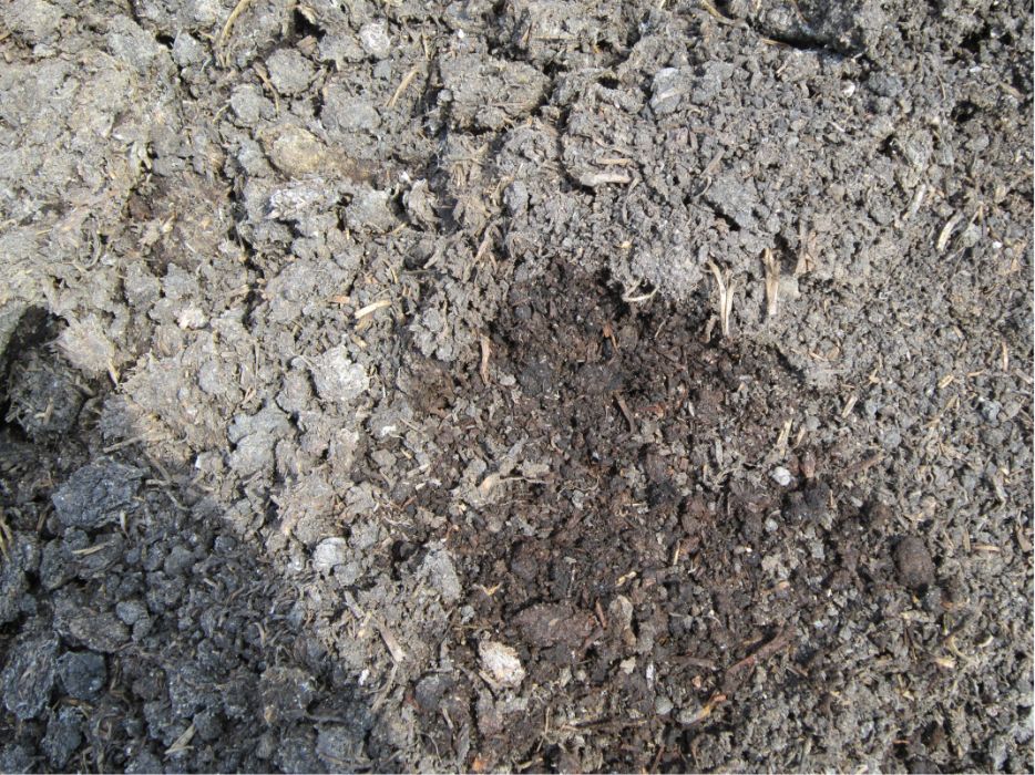 Ziemia ogrodowa po pieczarkowa