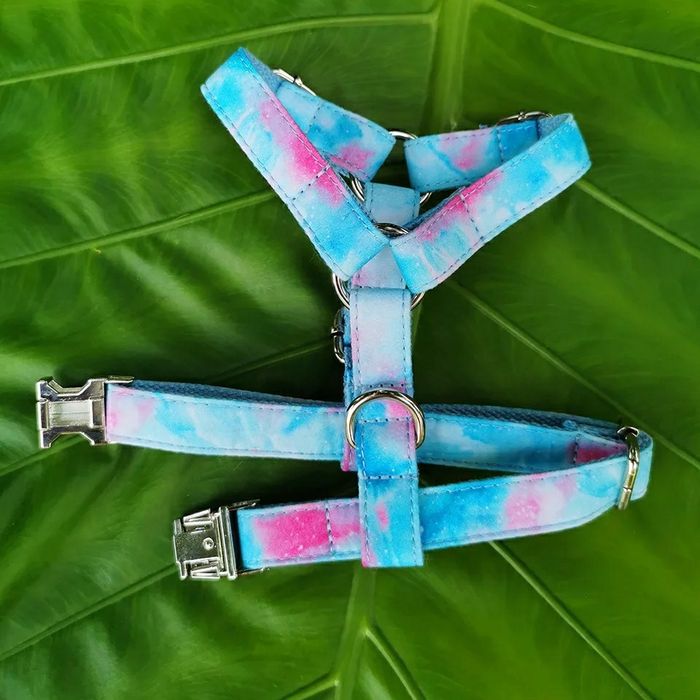 Peitoral arco-iris + trela conjunto