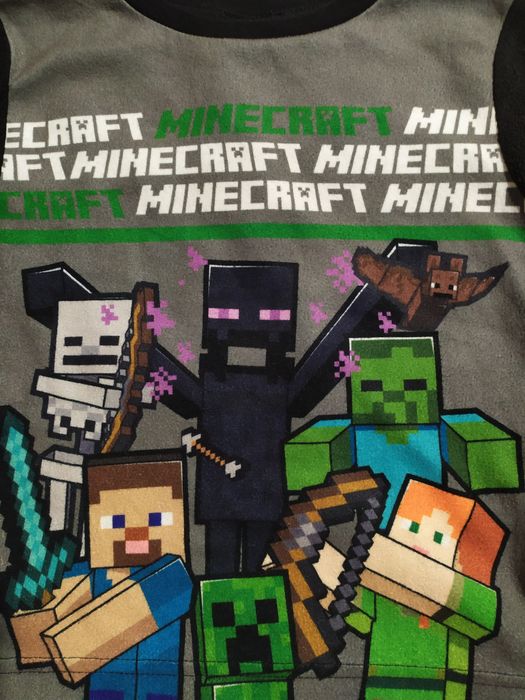 Флиска Minecraft 6лет