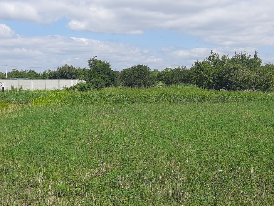 Продам участок 15с.під забудову,Супрунівка,район Кулиничив