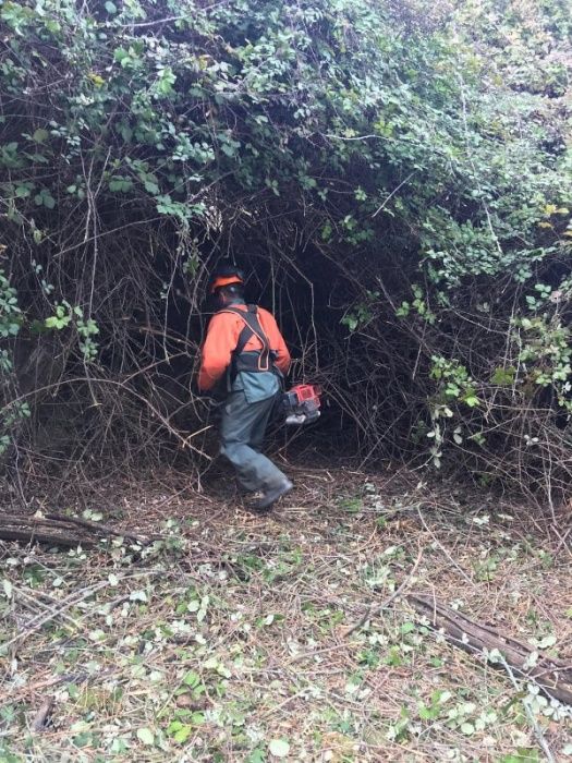 LLP-Limpeza de terrenos/ lavra terrenos/Prestação de serviços