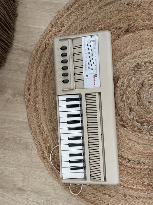 Orgão bontempi b3 com caixa