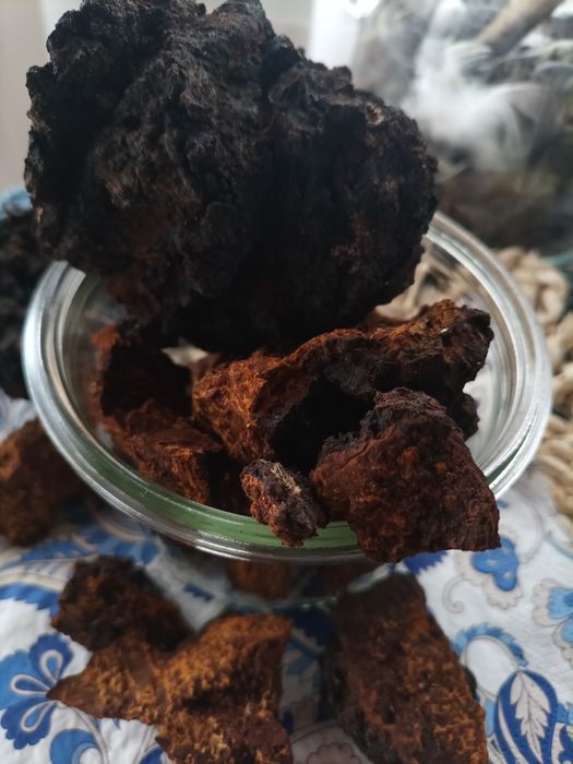 Czaga 100 gr (kawałki)