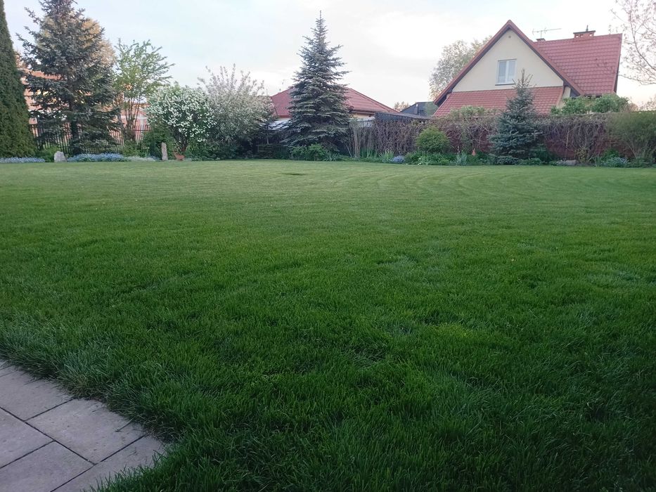 Usługi Glebogryzarką separacyjną Nawodnienie Ogródnicze Ogrodnik