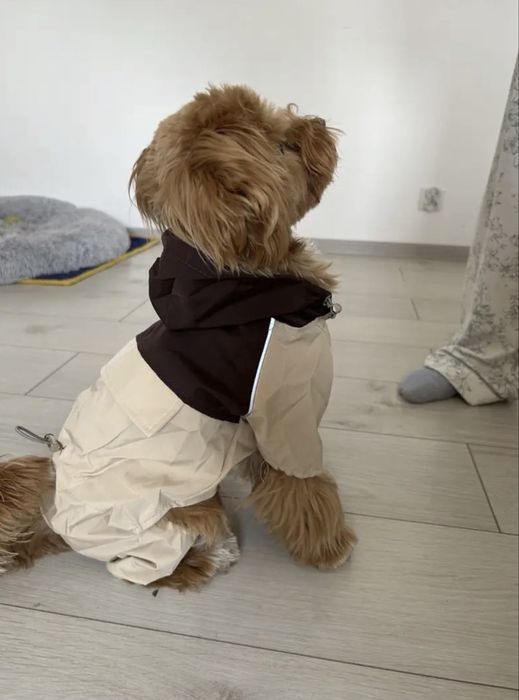 Stylowy płaszcz przeciwdeszczowy dla psa i kota