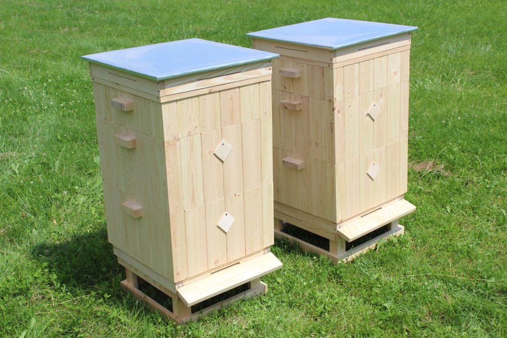 Ul Wielkopolski Ule Wielkopolskie 10 ramkowe