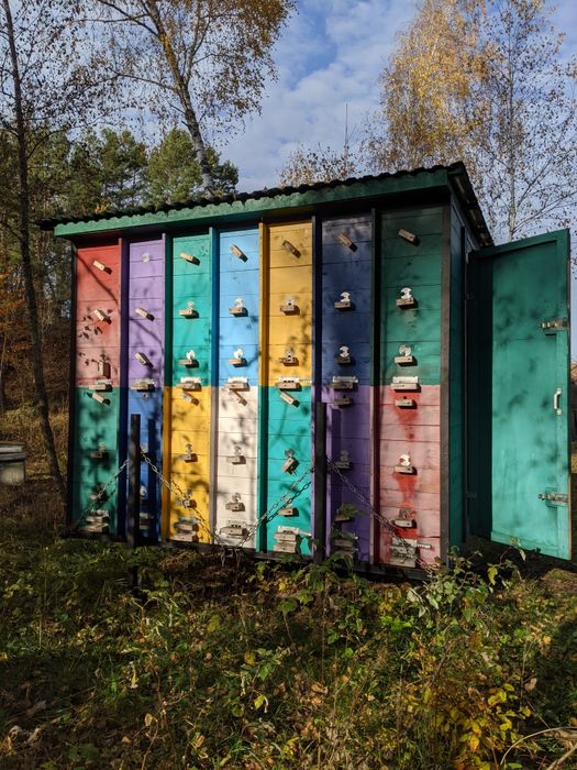 Продам бджолопавільйон