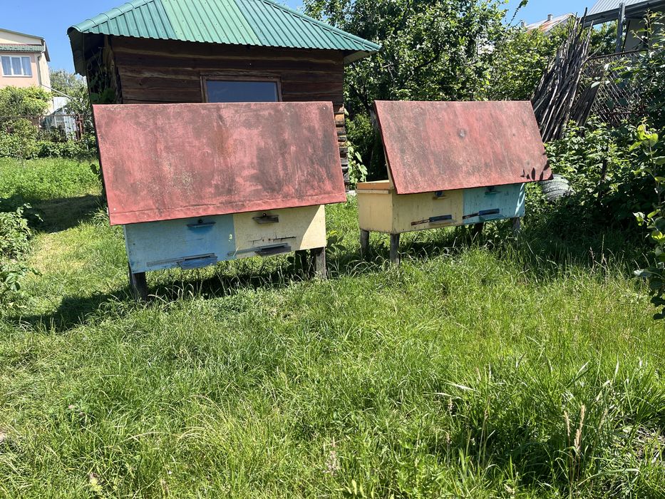 Продам 2 Вулика, 22 рамки кожен