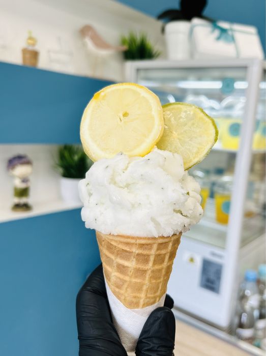 Бизнес по производству и продаже натурального мороженого