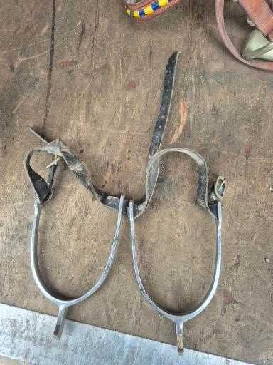 Ostrogi jeździeckie