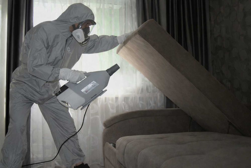 Уничтожение тараканов и клопов Киев и область Срочно Выезд сегодня