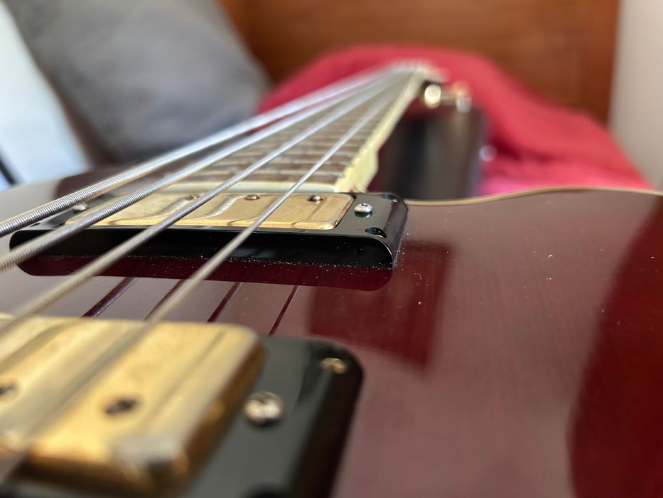 Baixo Epiphone Rumblekat Allen Woody
