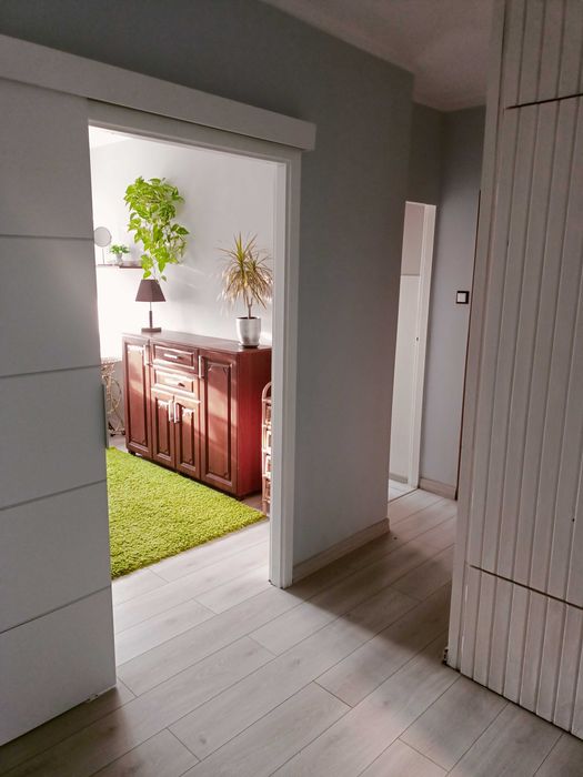 Pokój do wynajęcia