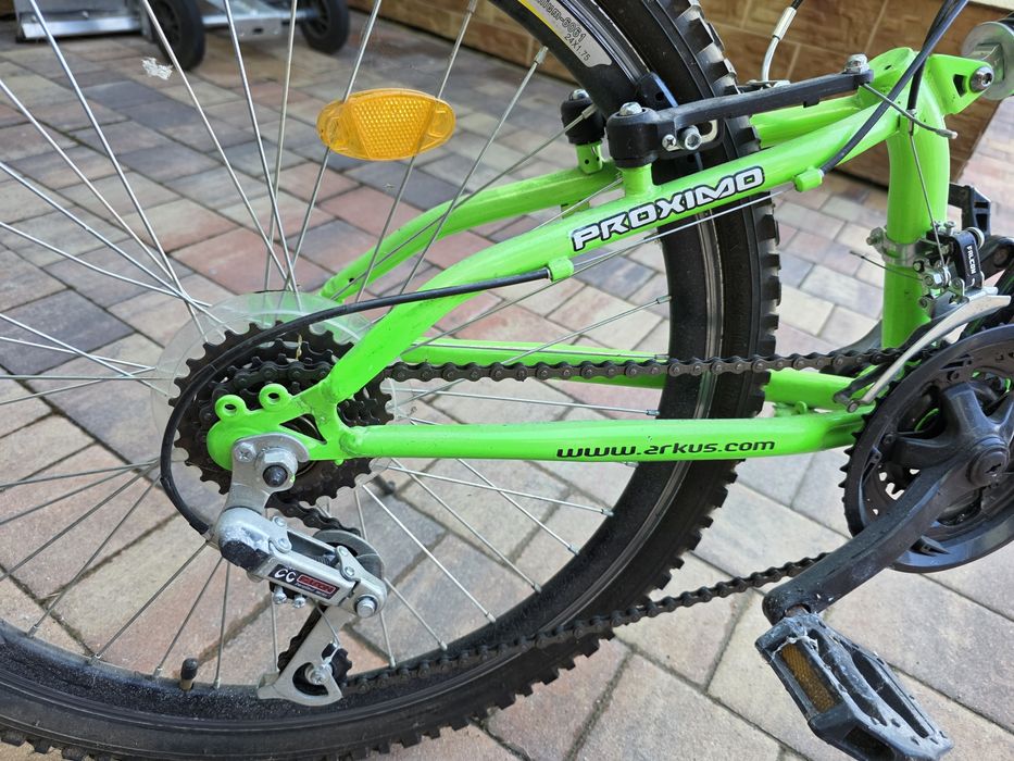 Rower Proximo 24cale
